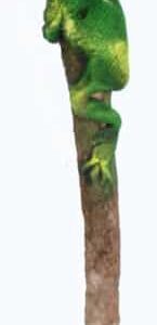 Realistic Wooden Frog Pencil