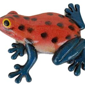 Colorful Tree Frog Magnet