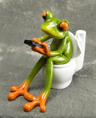 Frog Texting on Toilet Figurine