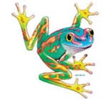 Adult Frog Wild Shirt