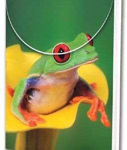 Peek A Boo Frog Pocket Pal Notepad