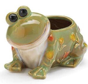Smiling Frog Face Planter