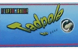 Tadpole To Frog Flip Book