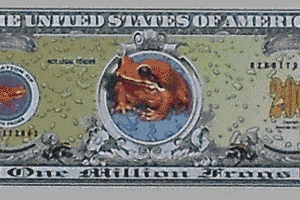 Froggy Million Dollar Bills