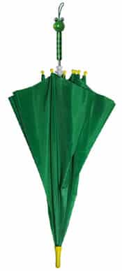 Kids Frog Umbrella