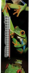 Frog Thermometer